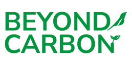 Beyond Carbon